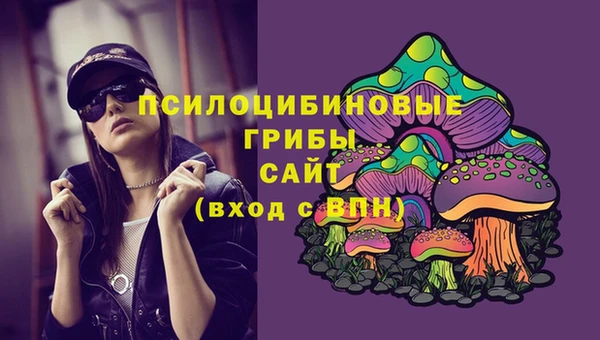 эйфоретик Абинск