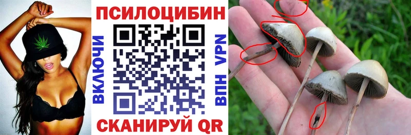 Псилоцибиновые грибы прущие грибы Брюховецкая