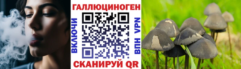 наркошоп  Брюховецкая  Галлюциногенные грибы GOLDEN TEACHER 